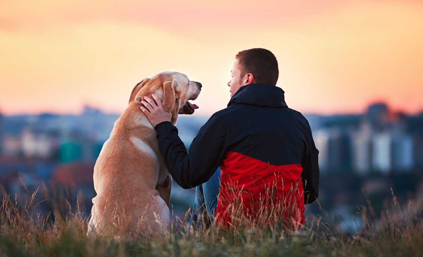 The personalities of animal owners are reflected in their pets