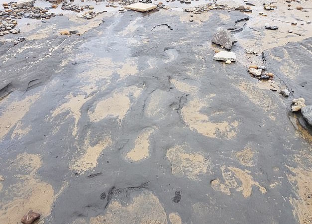 Human footprints in England are the oldest ever discovered outside of Africa