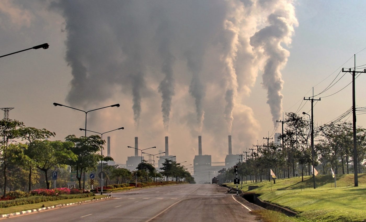 New fungal disease likely appeared as a result of global warming