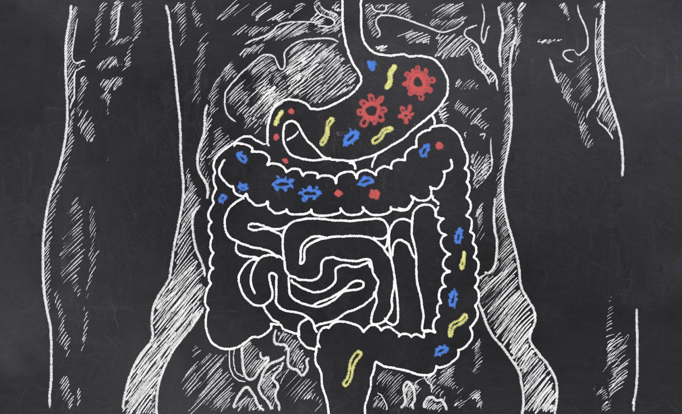 Your mood could be affected by your gut bacteria