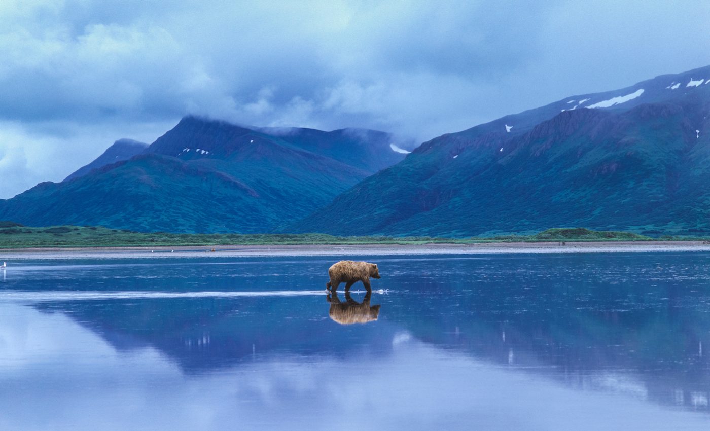 Alaska federal public lands put at risk by the Trump administration