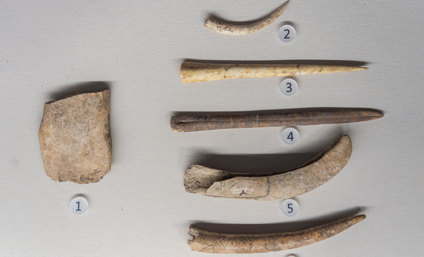 Earliest modern artifacts in Europe created by Homo sapiens