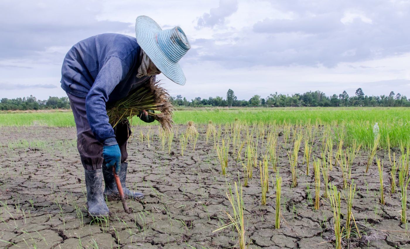 Latest climate models show more intense droughts ahead