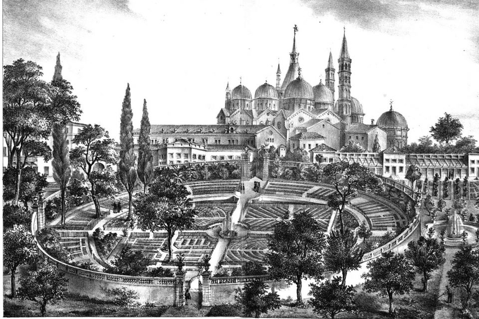 What Is the History of Botany?