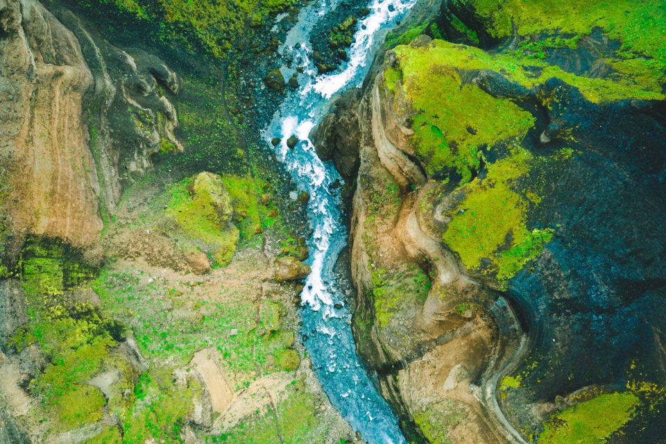 What Are Riparian Ecosystems?