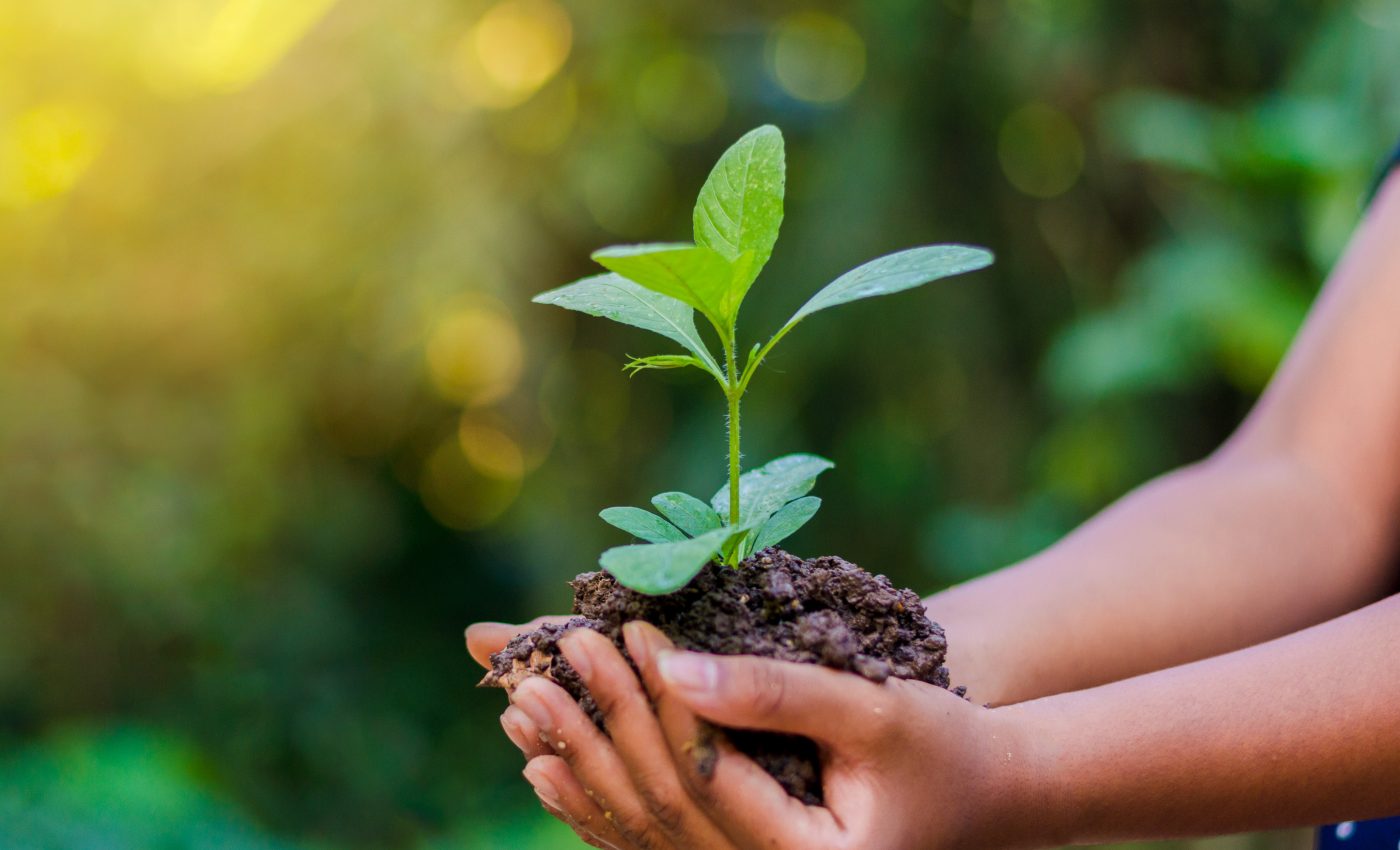 Conservation plans could benefit both nature and people