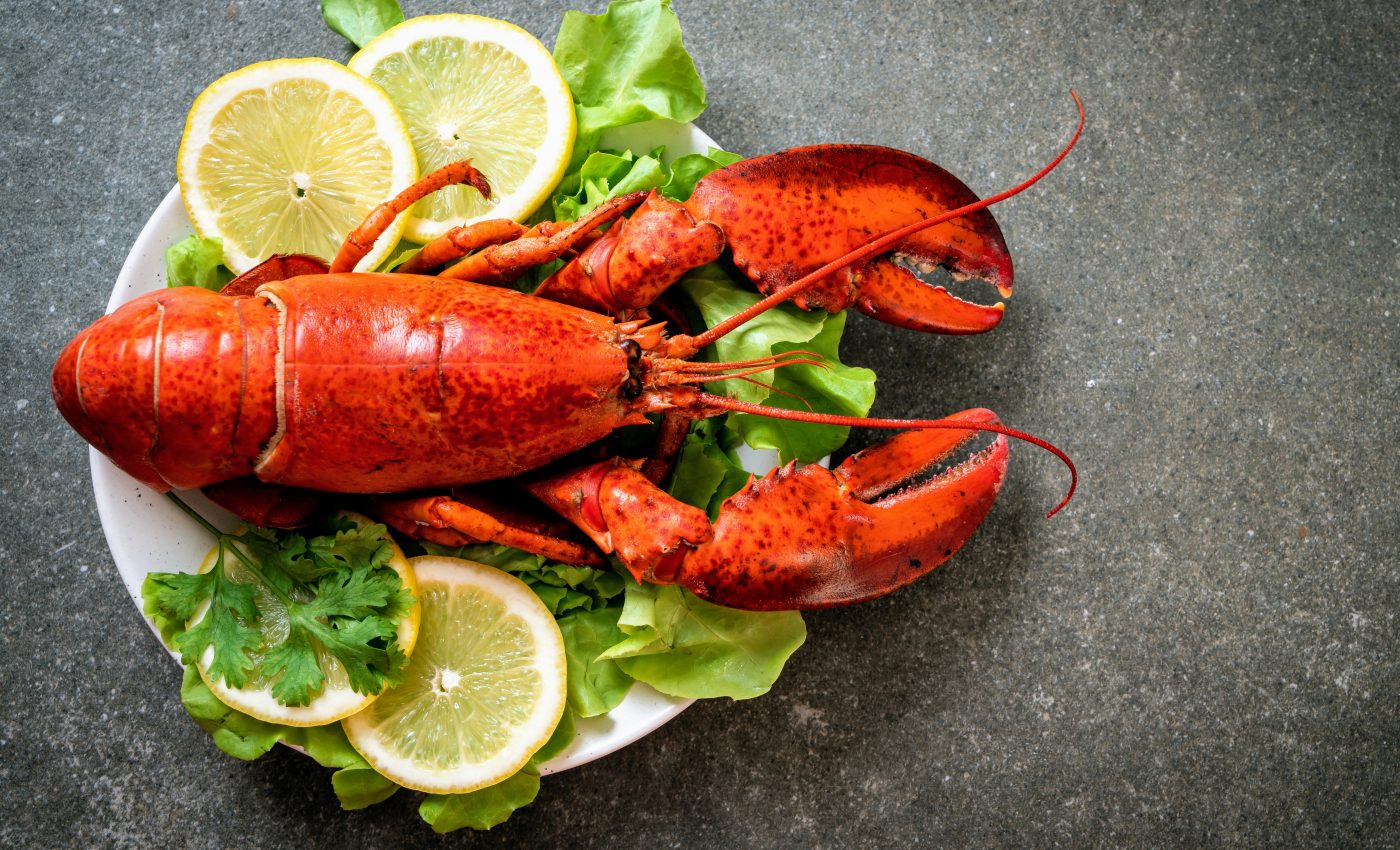 American lobsters face an uncertain fate