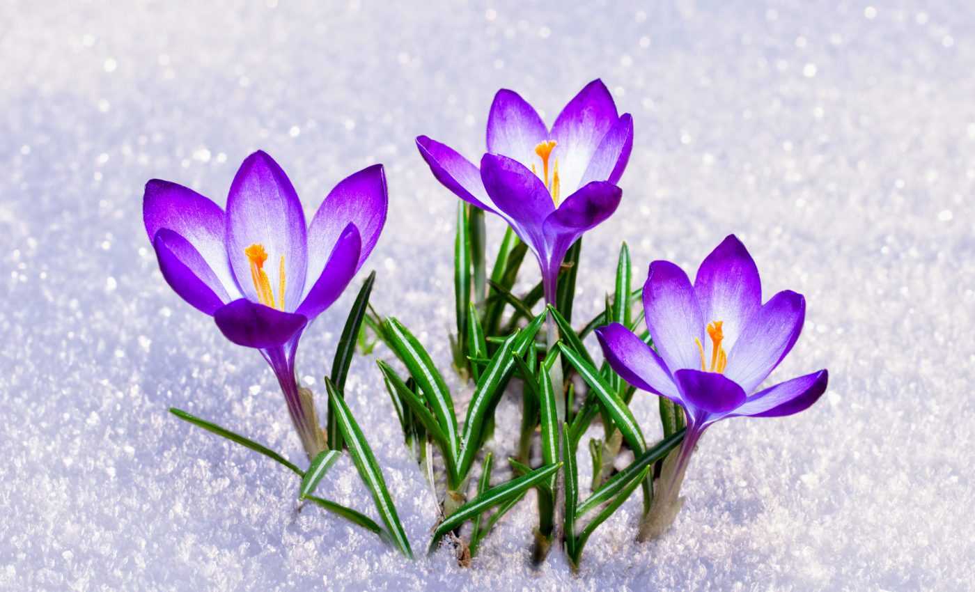 Rapid temperature variability linked to slow economic growth