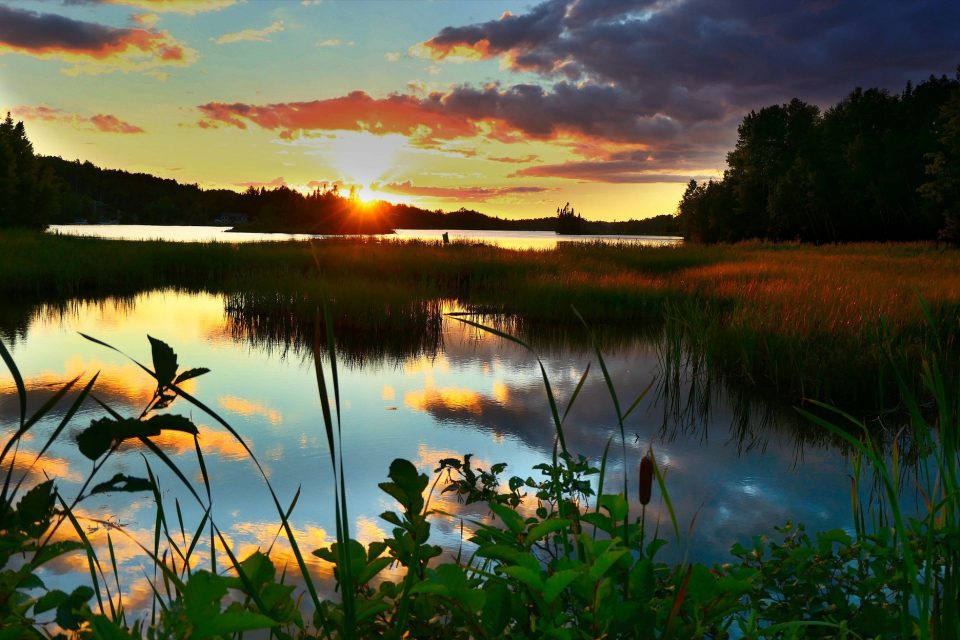 The Unnoticed (and Underappreciated) World of Ecosystem Services