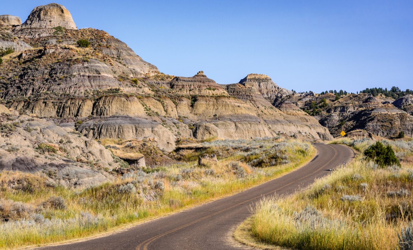 Four new dinosaur specimens found at the Hell Creek Formation
