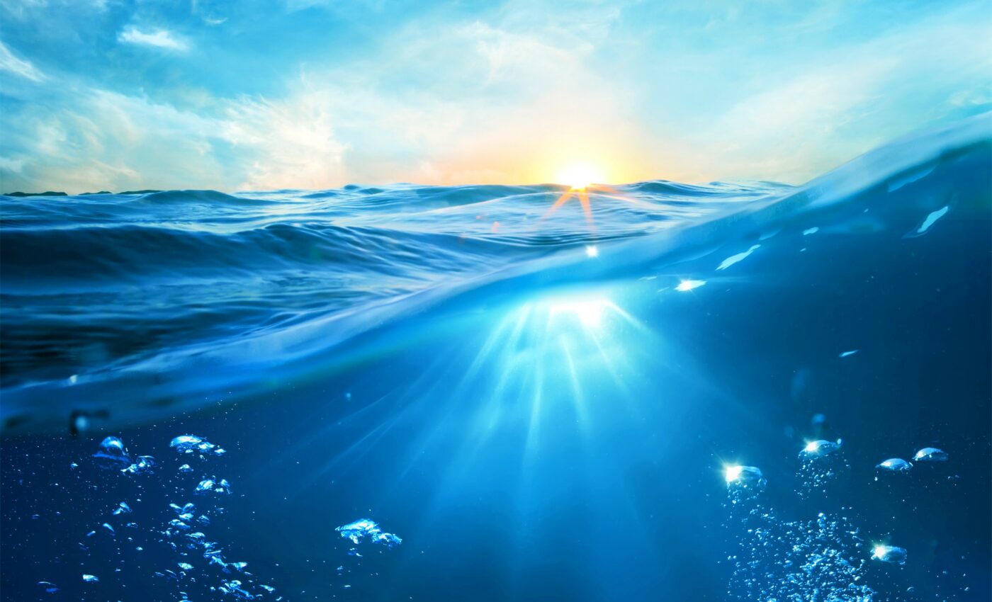 Marine heatwaves reduce the oceans’ ability to absorb carbon