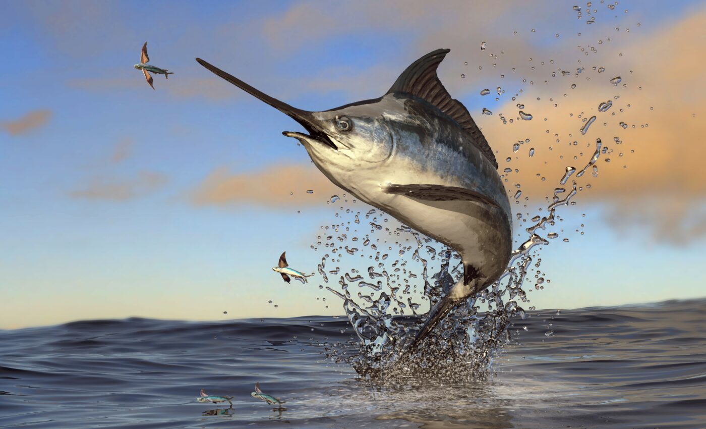 Ancient Columbian reptile looked like a swordfish