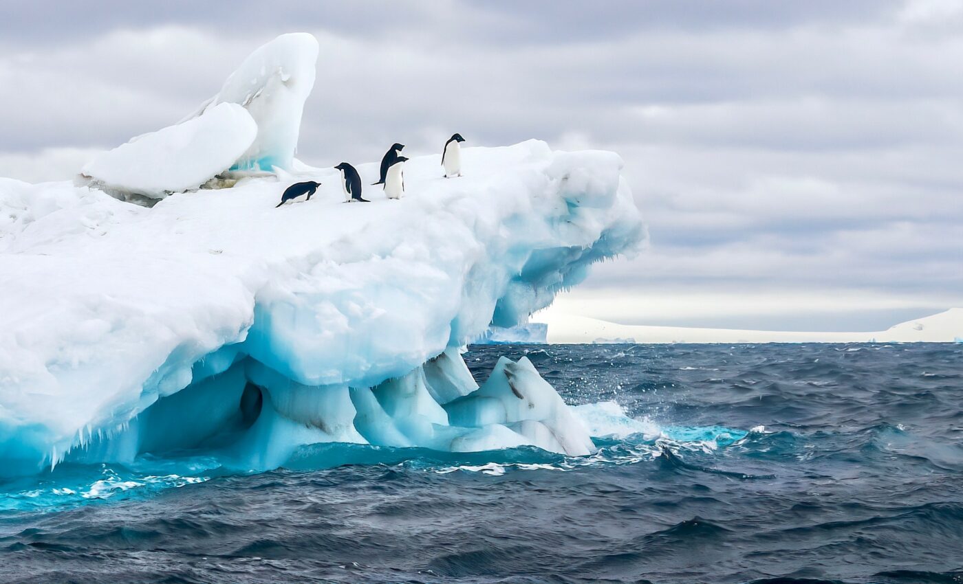 The Southern Ocean is a critically important carbon sink