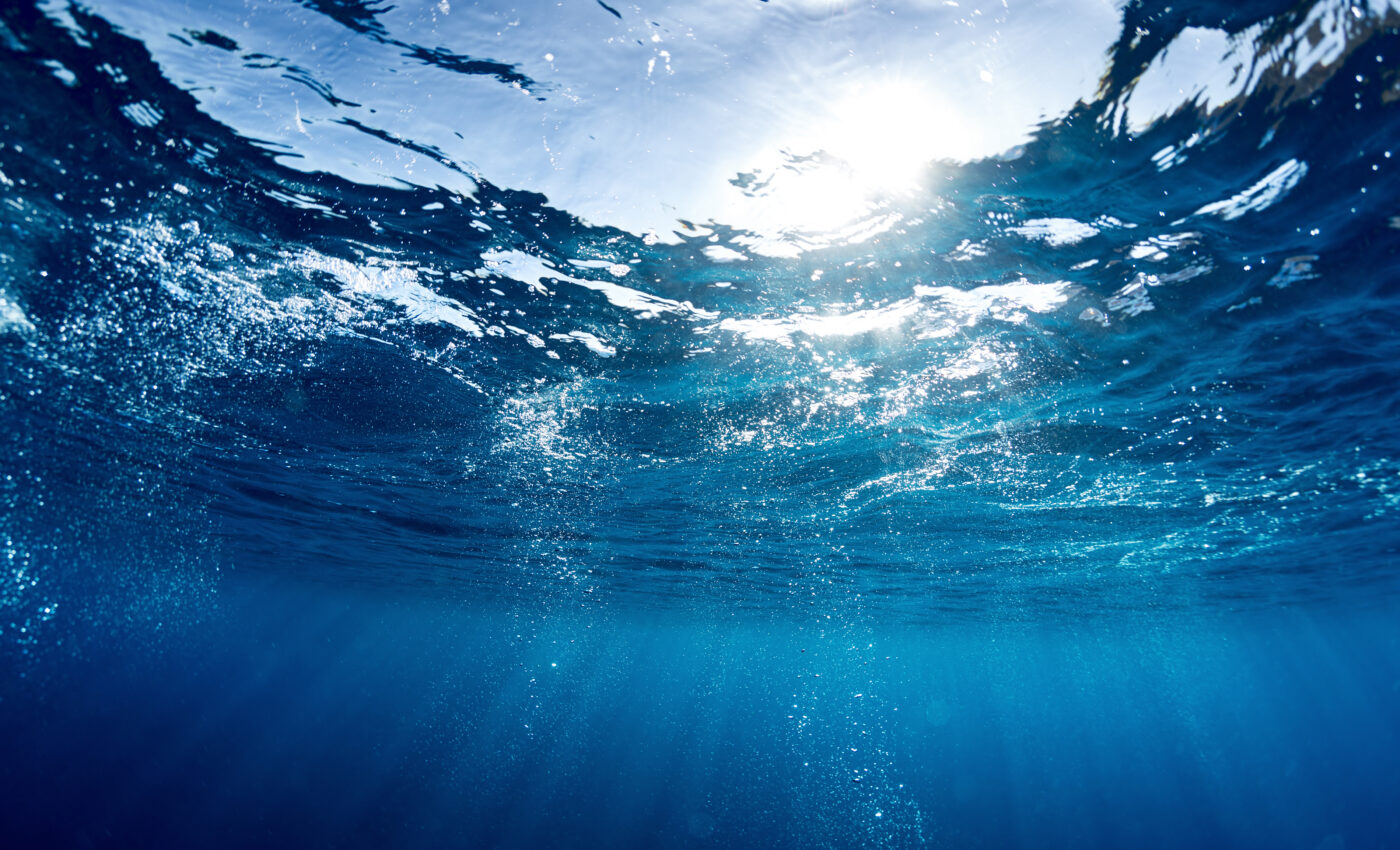 Predator interactions determine where Prochlorococcus thrive