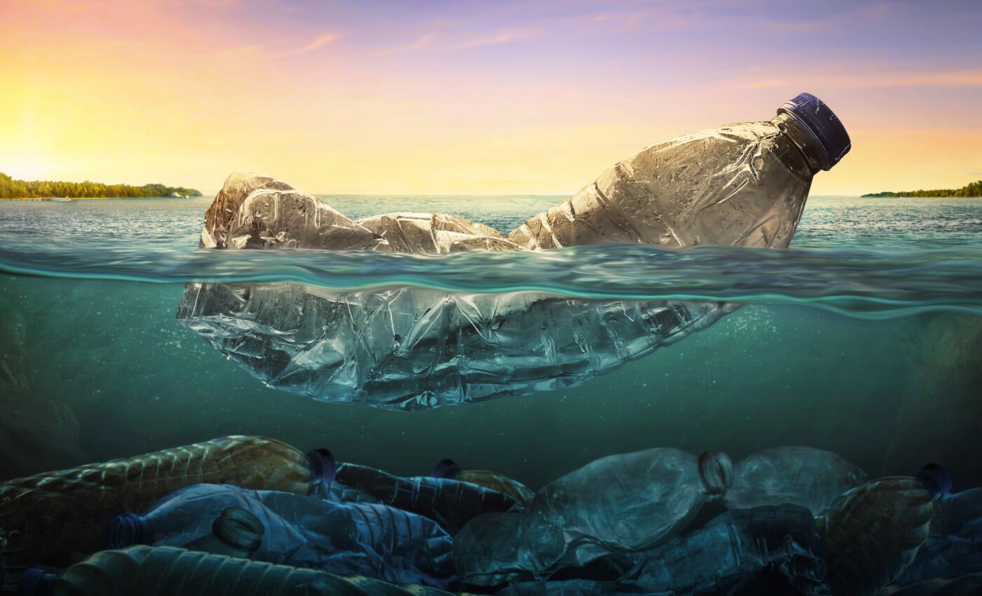 Invasive species can hitchhike on ocean plastic