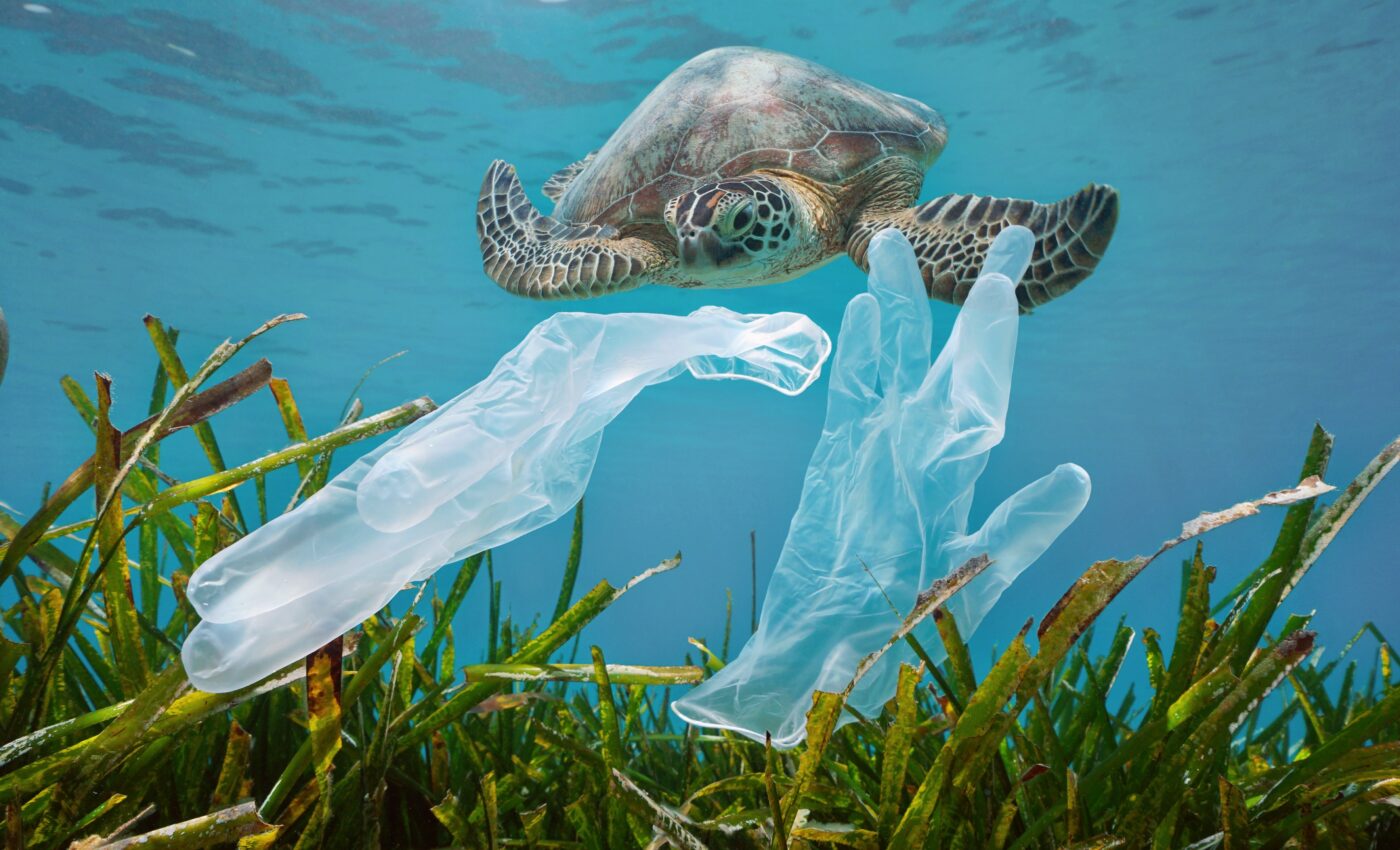 Half a billion metric tons of plastic waste is unaccounted for