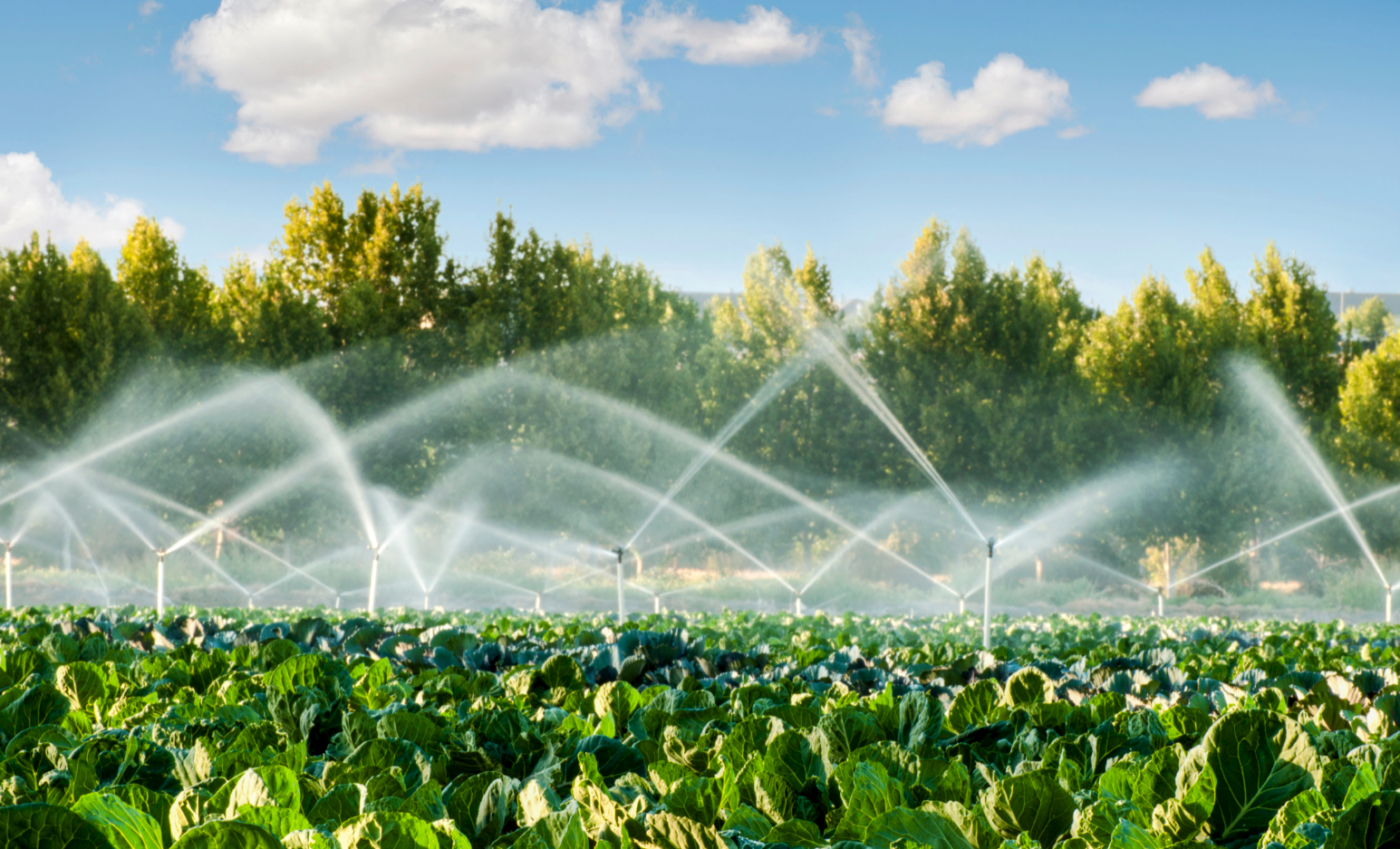 Sustainable irrigation could feed feed 1.4 billion more people