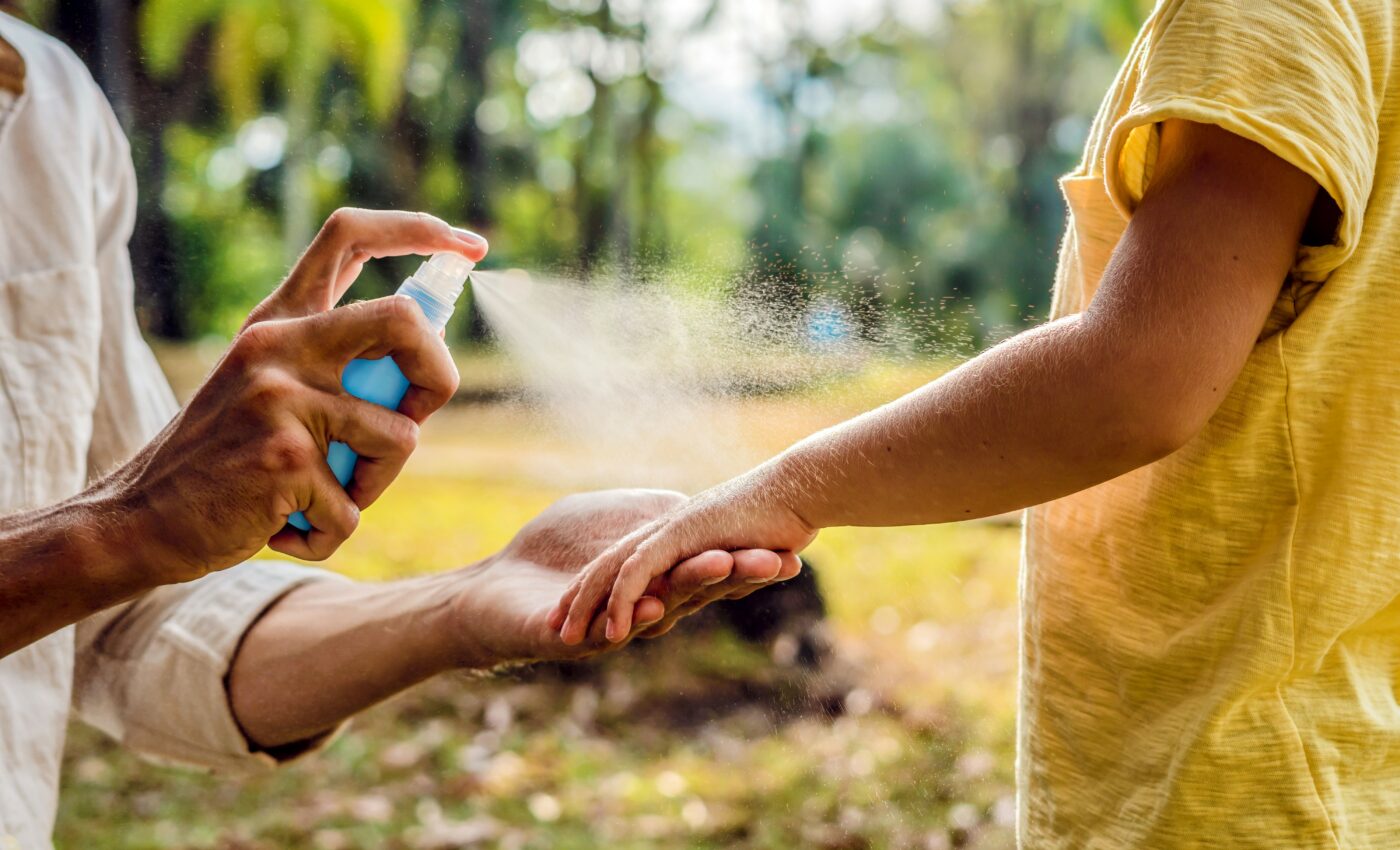 Climate variables can predict future mosquito activity