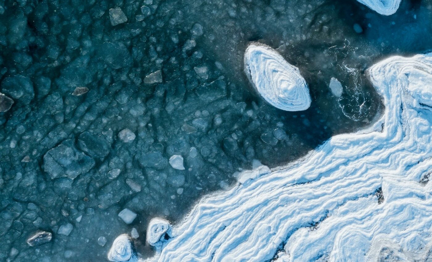 Snailfish have a secret weapon to survive in frozen Arctic waters