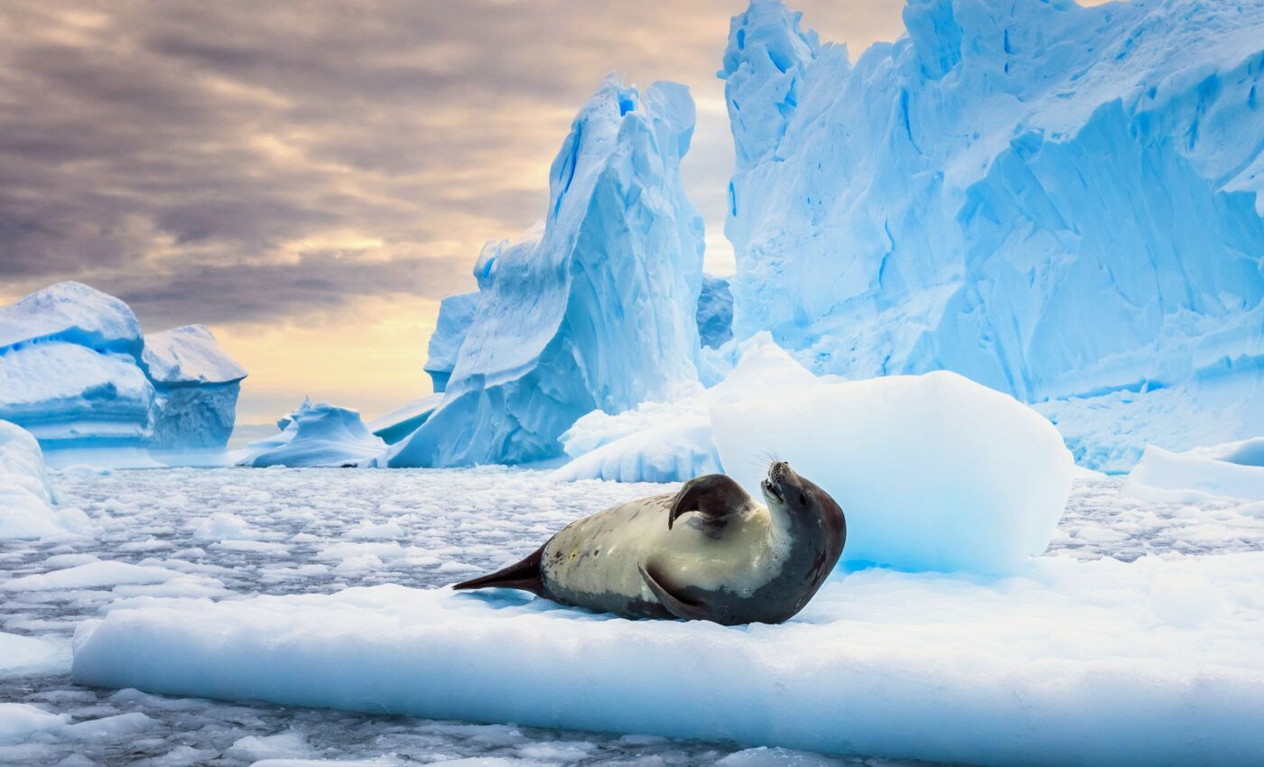 New trigger of Antarctic ice-sheet loss identified