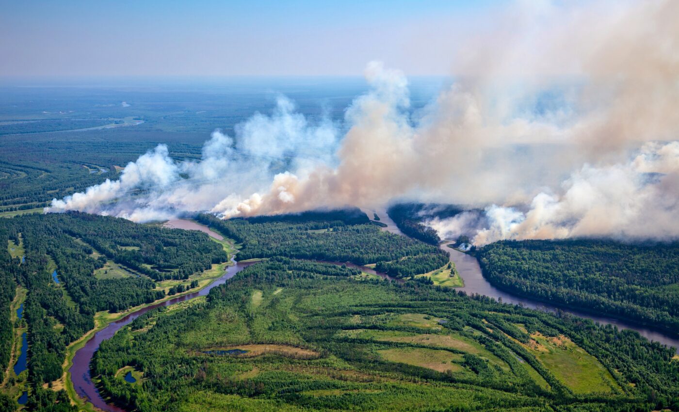Wildfire smoke particles erode the ozone layer
