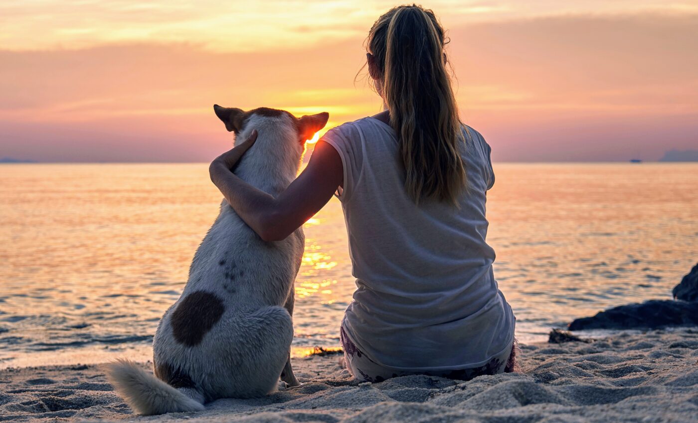 How do our brains remember everyday scenes?