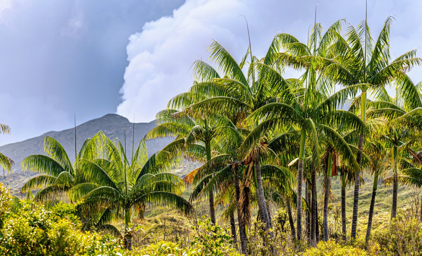 Volcanic eruptions impede the predictive power of climate models