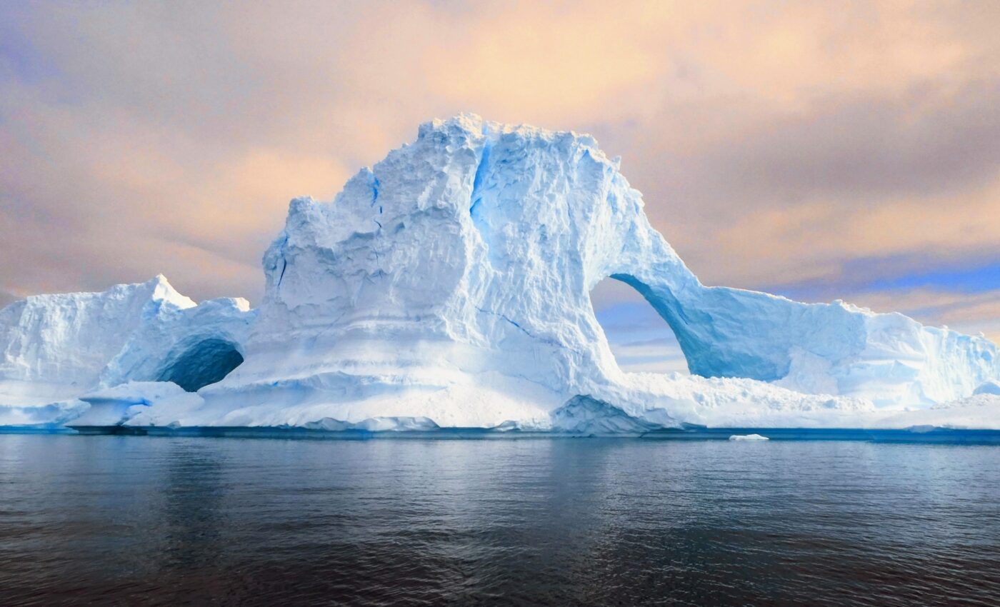 Antarctic icefish have developed alien-like superpowers to survive