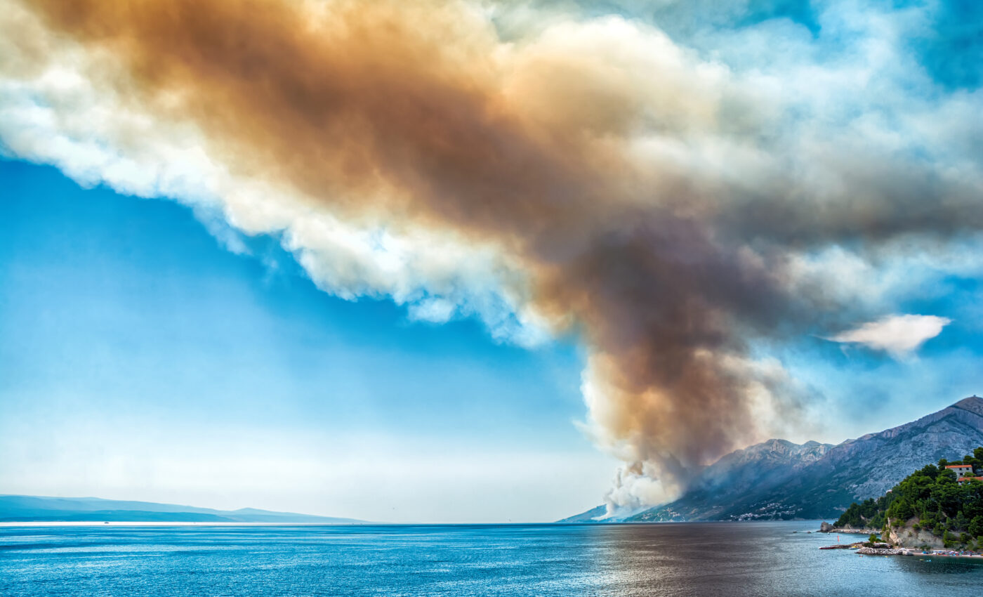 Atmospheric dust plays surprisingly crucial role in stabilizing ocean ecosystems