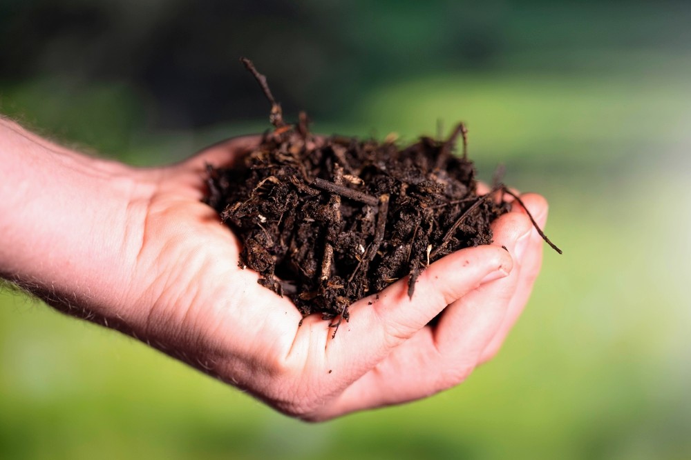 Sequestering carbon in soil is dependent upon microbes