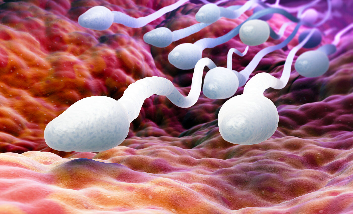Low sperm count directly linked to mobile phone use