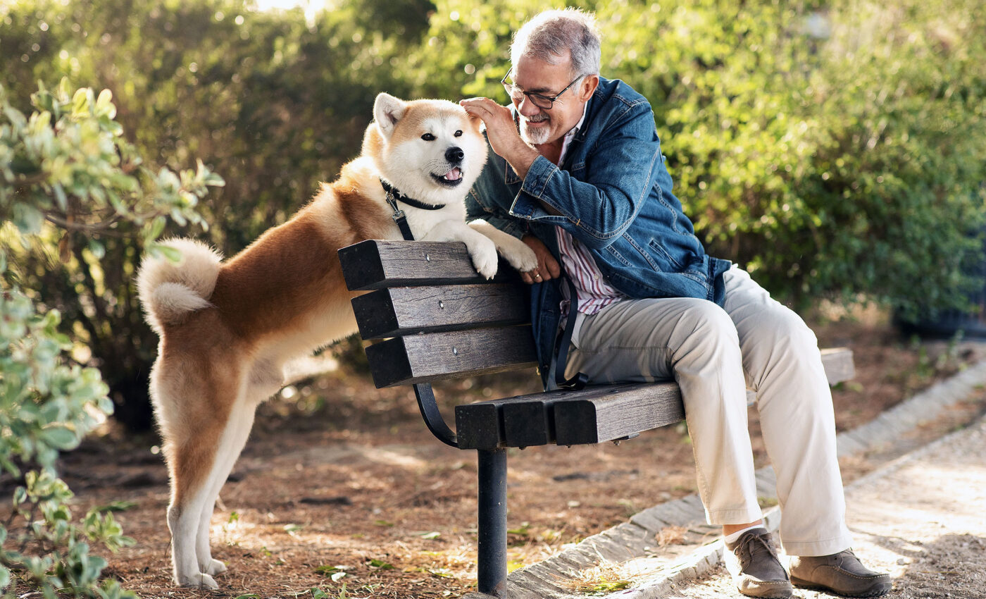 Having a pet can slow or prevent cognitive decline and dementia