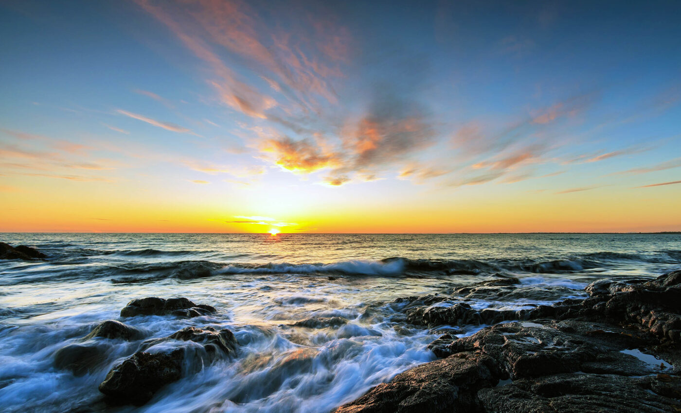 Earth’s oldest organisms ever discovered show dazzling diversity and complexity