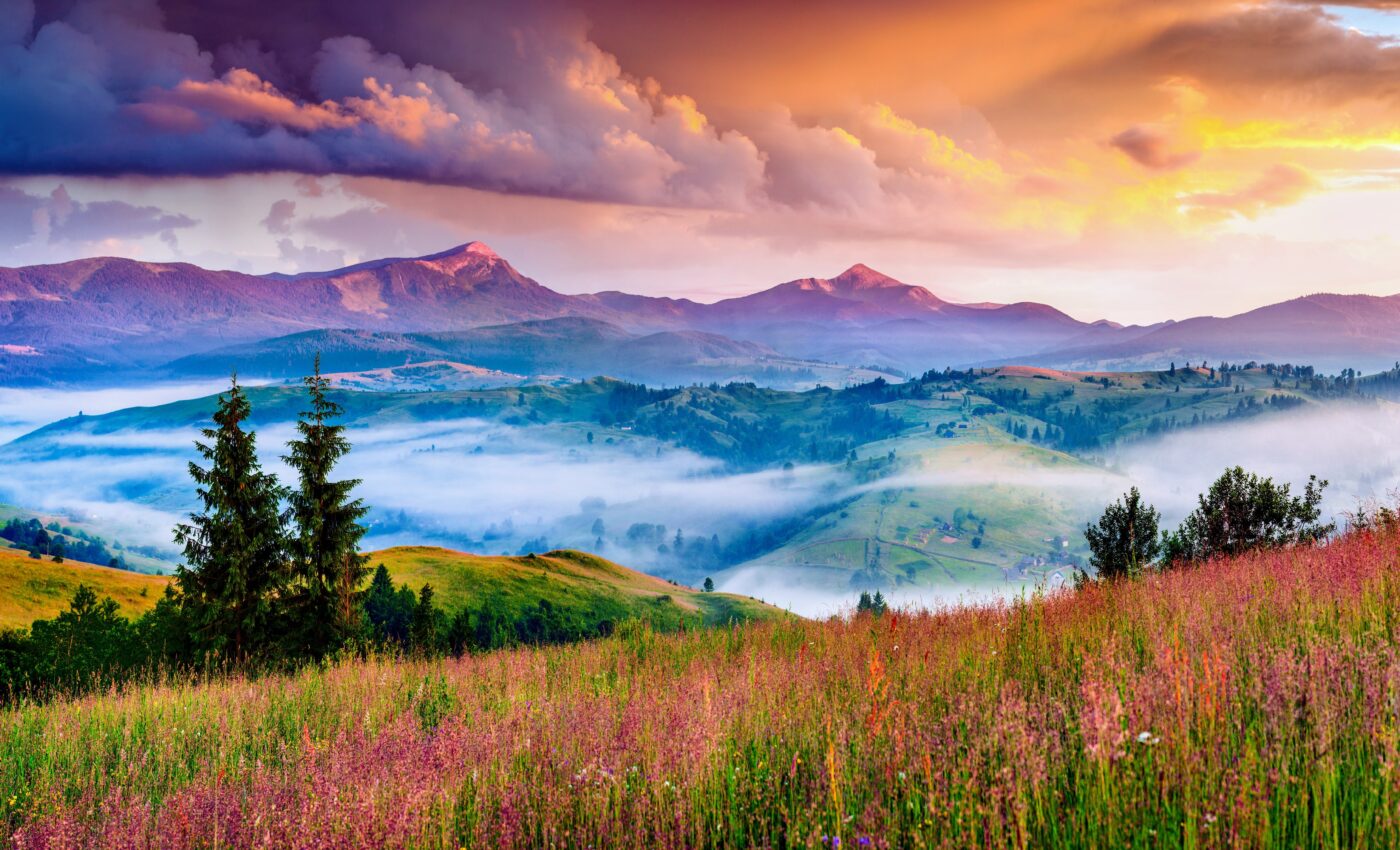 Earth's great balancing act: Nature is adapting to human influence