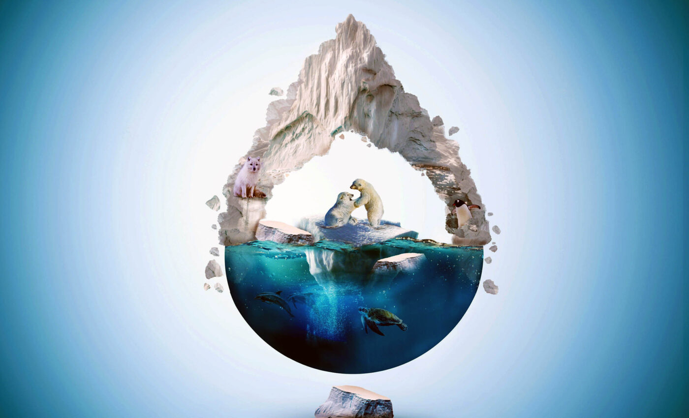 Earth's polar regions are changing in alarming ways