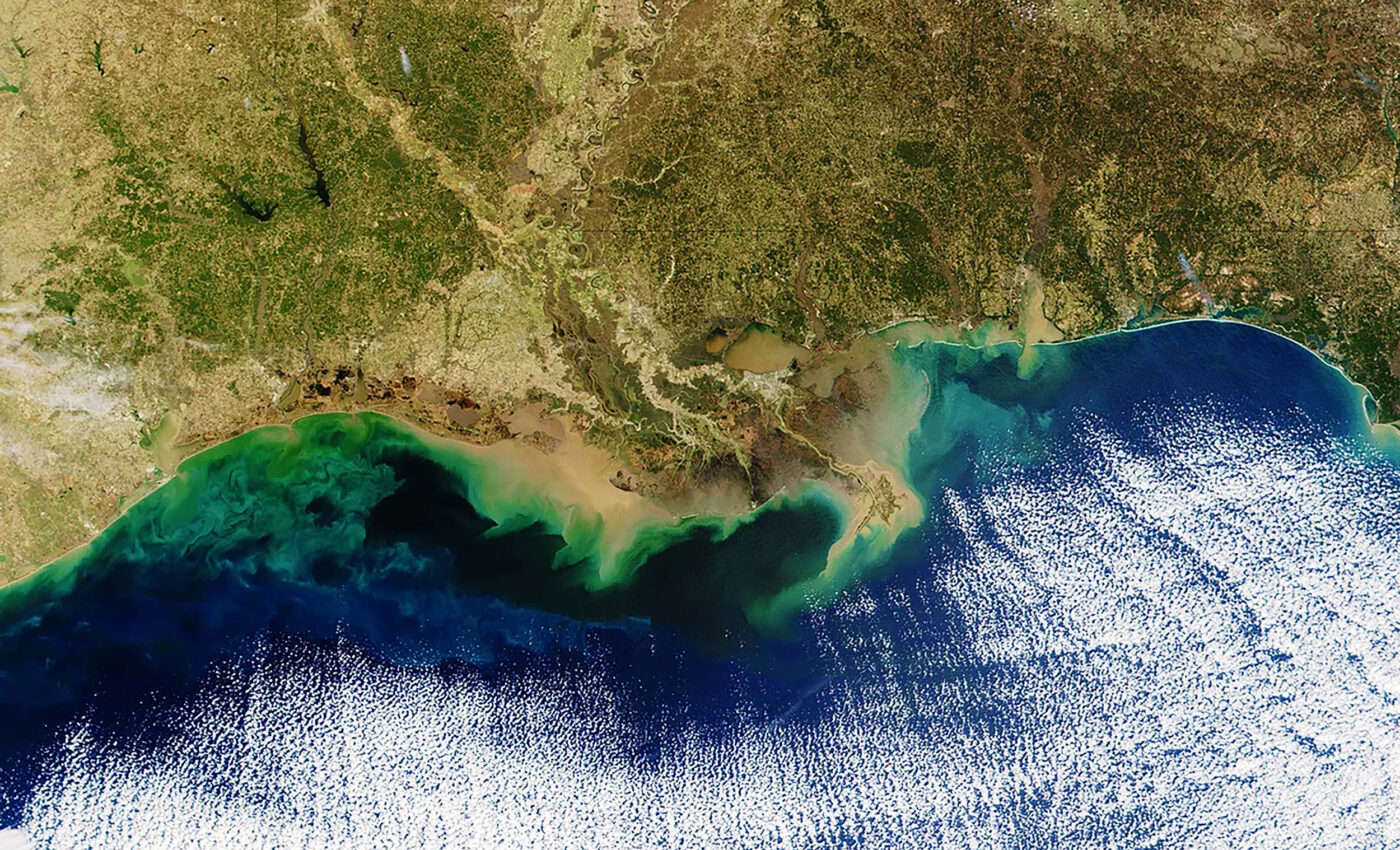 Excess nutrients are creating ocean dead zones