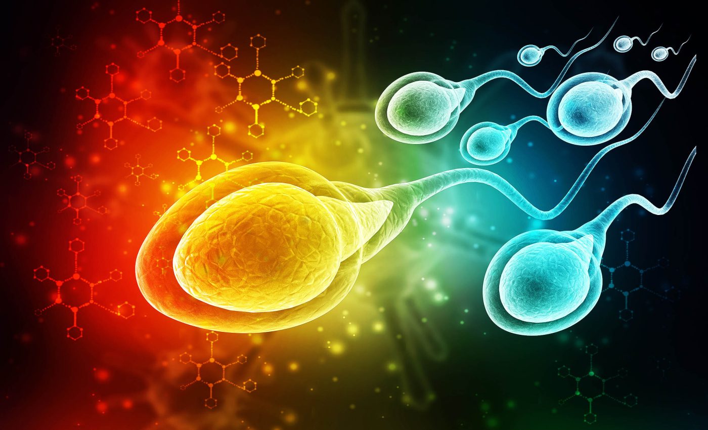 Microplastics found in every semen sample tested