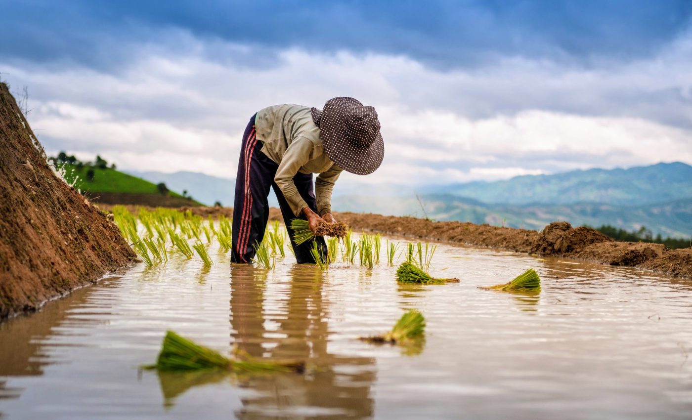 Removal of field margins reduces farmland biodiversity