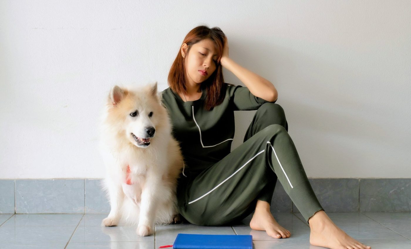 Many people experience 'puppy blues' with a new pet