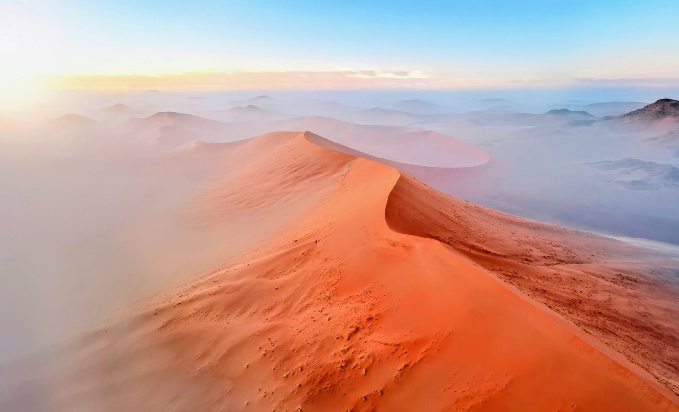 Desert grass survives by capturing moisture from fog