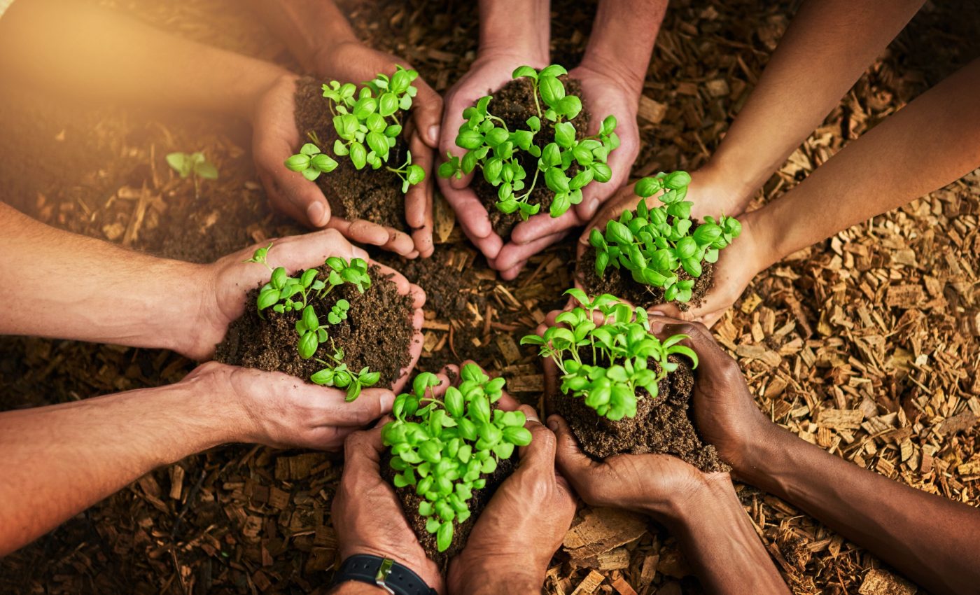 Humans have shaped plant biodiversity for thousands of years