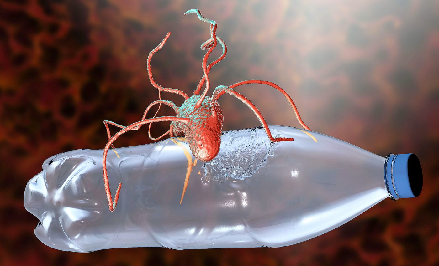 Bacteria discovered that destroys PFAS 'forever chemicals'