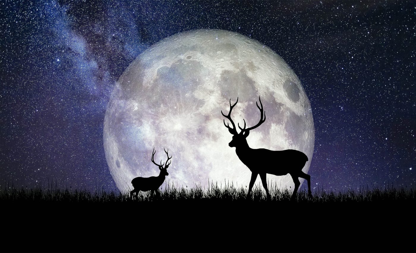Full moon weekend is upon us as the "Buck Moon" arrives tonight