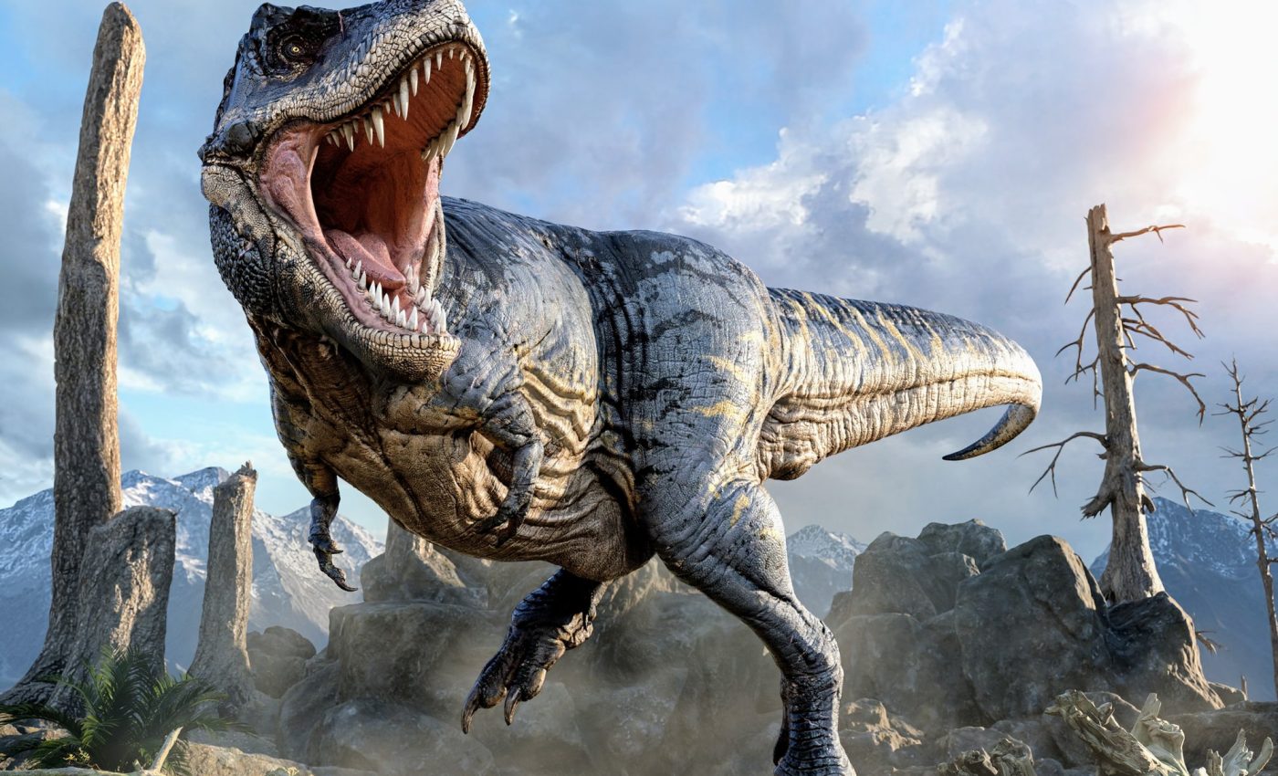 T. rex was about 70 percent bigger than we thought