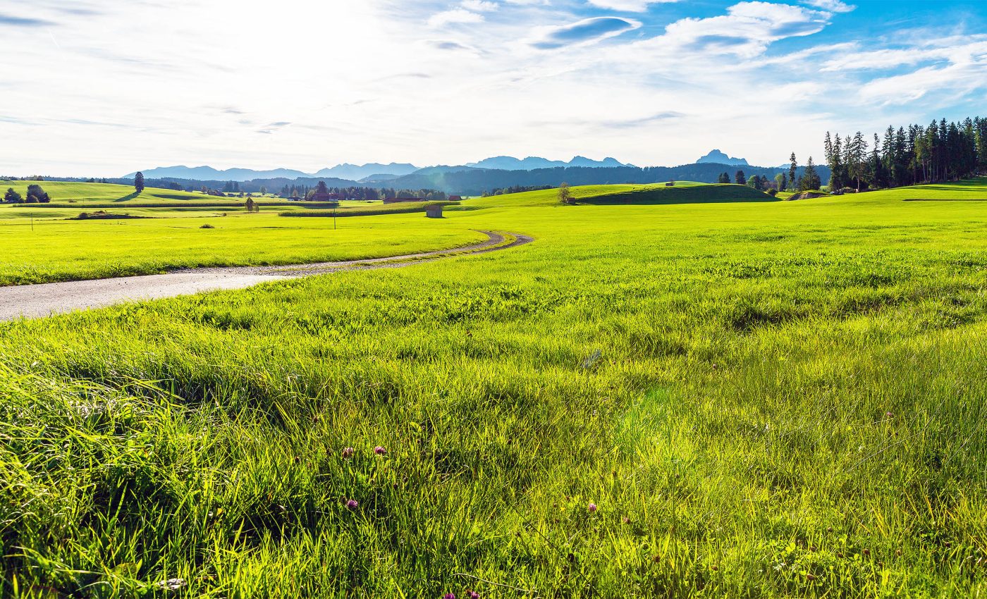 Some grassland ecosystems handle climate change better than others