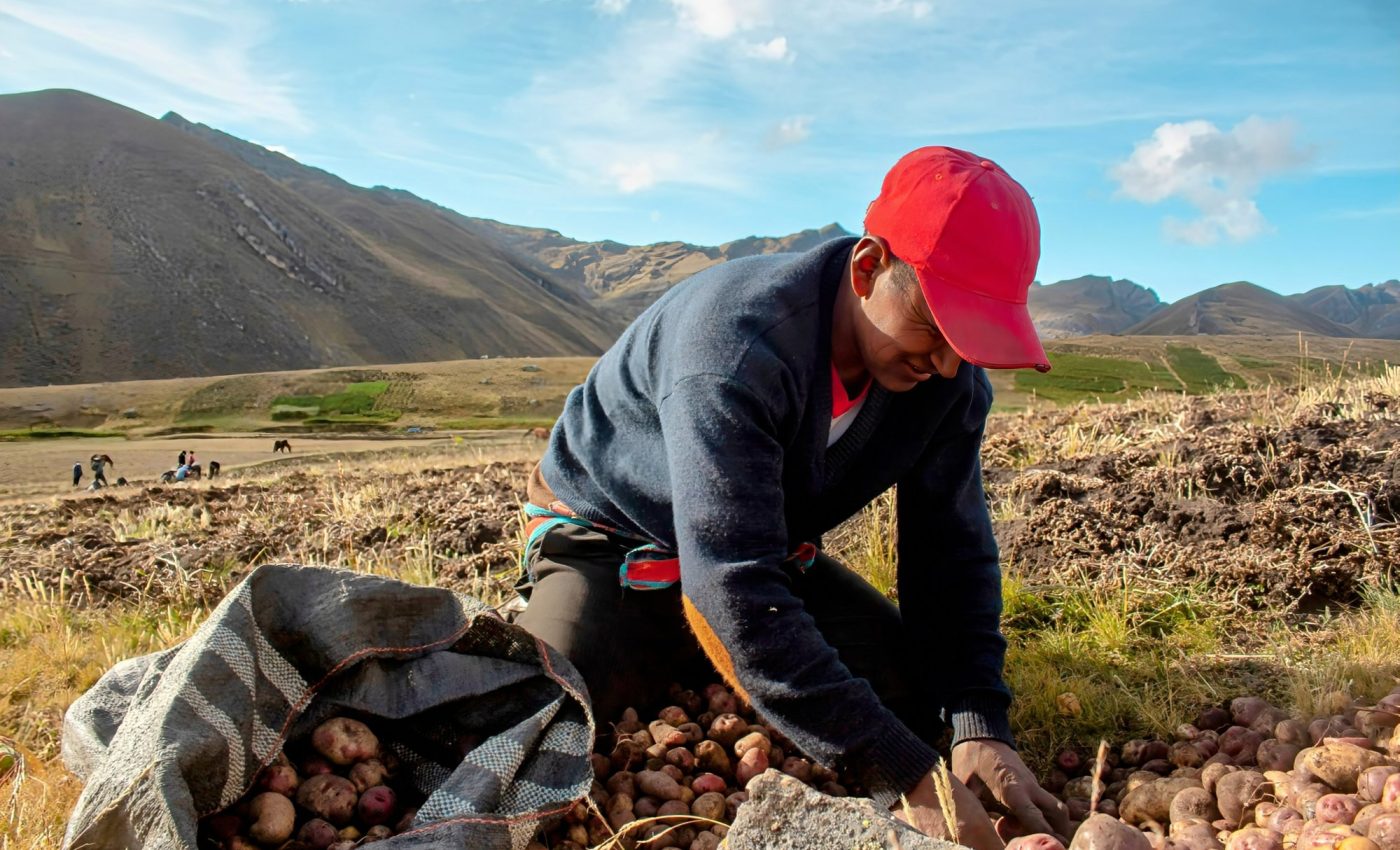 Local food production is undervalued in the context of climate change