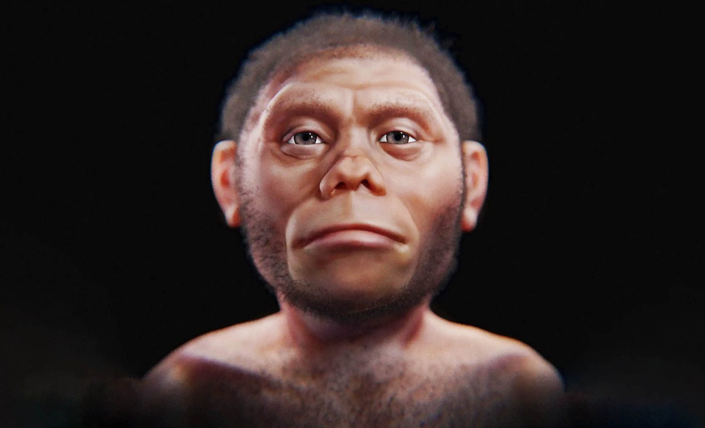 Human ancestors called ‘Hobbits’ of Flores were smaller than we imagined