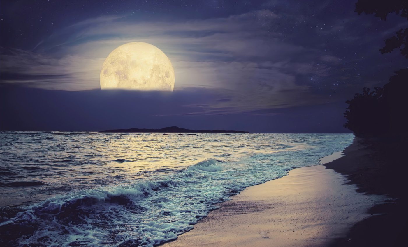 Some fish use the moon cycle to manipulate their offspring's sex