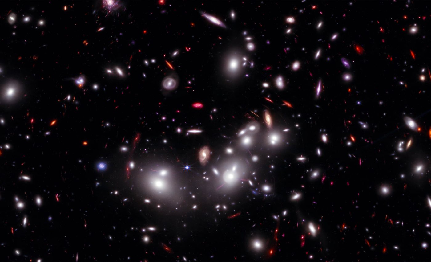 Galaxies in clusters are bigger than galaxies flying solo in the universe