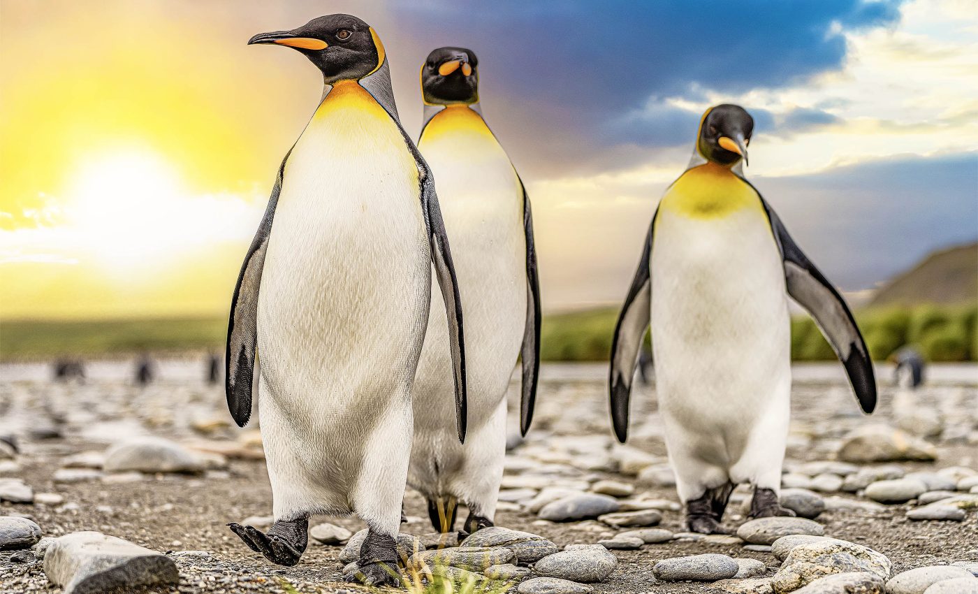 Record-high temperatures, greenhouse gases, and sea-level rise reached in 2023